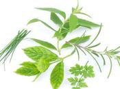HYPERTENSION Épices fines herbes pour détendre artères