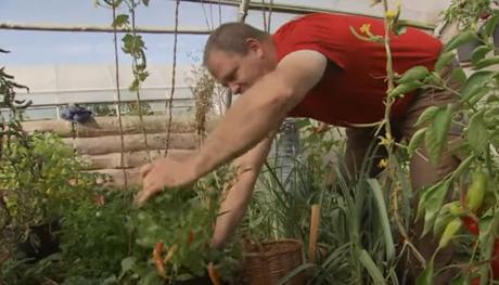 Les légumes dans le sang (vidéo)