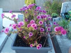 amour,hommage,mari,époux,décédé,le ciel,tombe,souvenirs