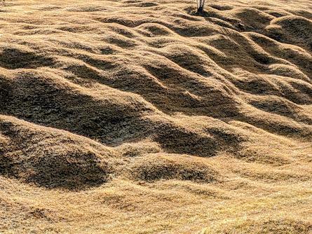 Die  Buckelwiesen bei Mittenwald — 30 Bilder /photos — Les prairies bosselées près de Mittenwald — Nov. 2021