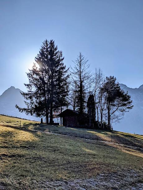 Die  Buckelwiesen bei Mittenwald — 30 Bilder /photos — Les prairies bosselées près de Mittenwald — Nov. 2021