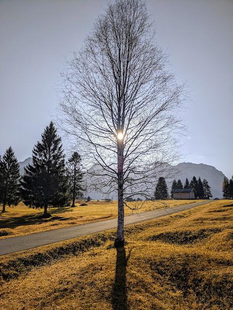 Die  Buckelwiesen bei Mittenwald — 30 Bilder /photos — Les prairies bosselées près de Mittenwald — Nov. 2021