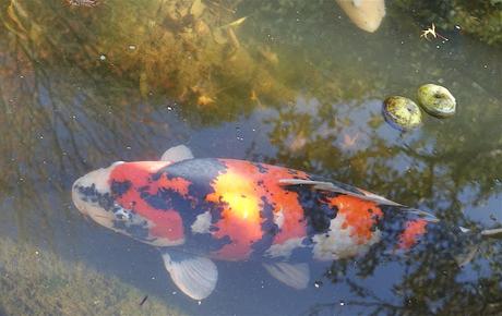 vers la lumière du ciel