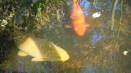 vers la lumière du ciel