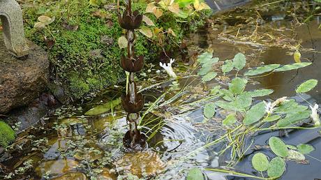 vers la lumière du ciel