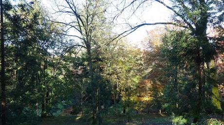 vers la lumière du ciel