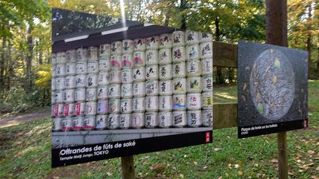 vers la lumière du ciel