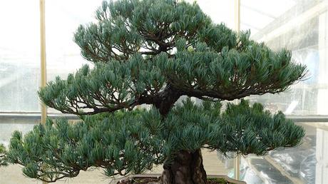 vers la lumière du ciel