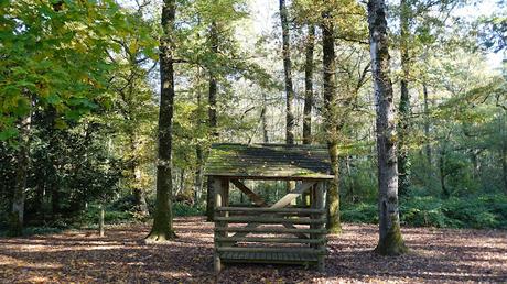 vers la lumière du ciel