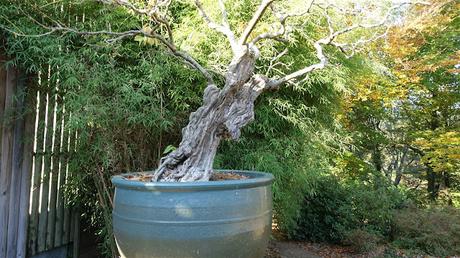 vers la lumière du ciel