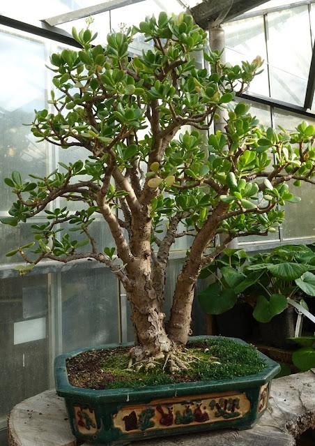 vers la lumière du ciel