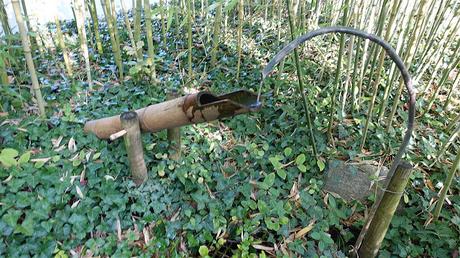 vers la lumière du ciel