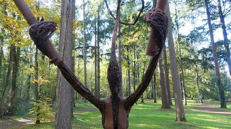 vers la lumière du ciel