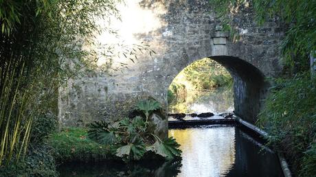 vers la lumière du ciel