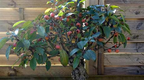 vers la lumière du ciel