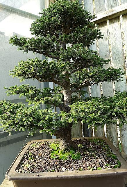 vers la lumière du ciel
