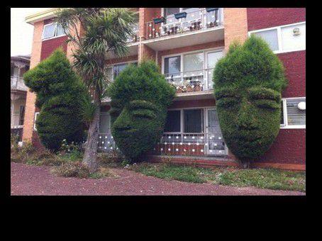 Divers  - Images insolites - 2