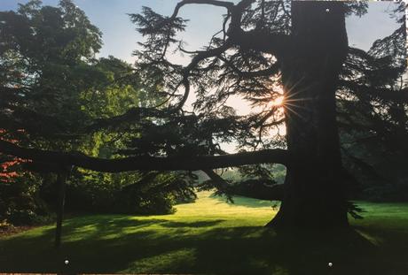Le Château de Sceaux   – pour novembre :des expositions