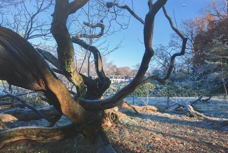 Le Château de Sceaux   – pour novembre :des expositions