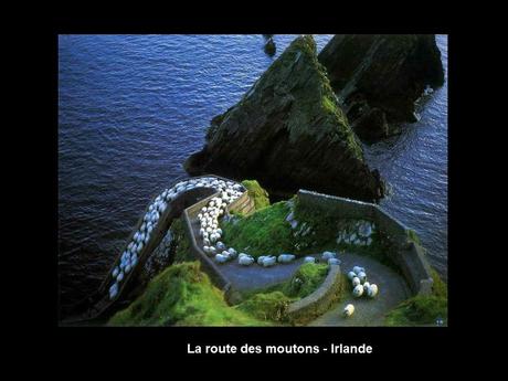 Divers - Les beautés du monde - 2