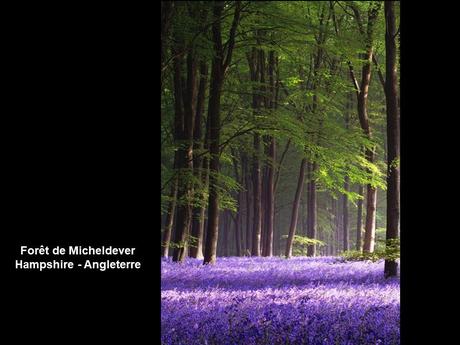 Divers - Les beautés du monde - 2