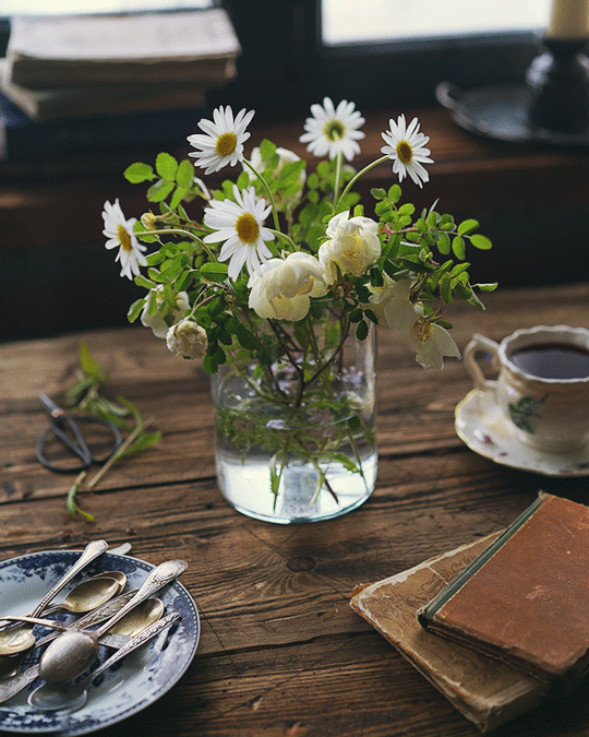 cinemagraph artist on instagram