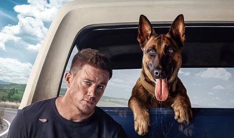 Premier trailer pour Dog de Channing Tatum et Reid Carolin