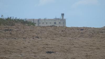 Le fort flou derrière la dune