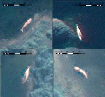 Exemple d'observations d'échouages de baleines sur des images satellites. Crédit : Maxar Technologies La technologie spatiale et l'intelligence artificielle pour surveiller les échouages massifs de baleines