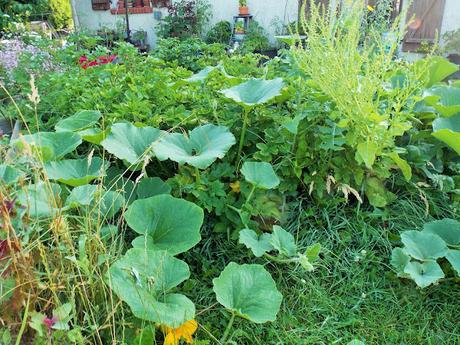 Au jardin, on recycle au maximum !