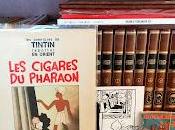 collection Tintin bleu, vers colonne unique, au-delà
