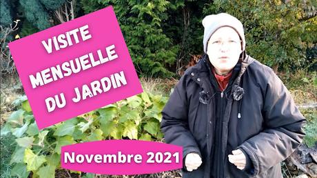 Visite du jardin urbain en permaculture mois par mois novembre 2021(vidéo)