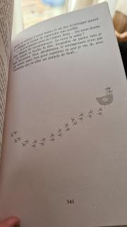 Ma romance de Noël ( presque ) parfaite de Fleur Hana