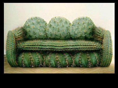 Divers  - Images insolites - 4