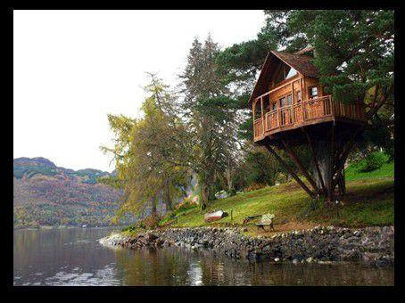 Divers  - Images insolites - 4