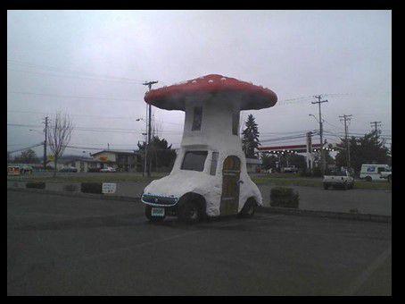 Divers  - Images insolites - 4