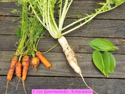 Salade fraîcheur aux carottes et au radis d'hiver (Vegan)