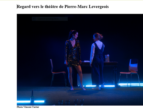 Regard vers le théâtre de Pierre-Marc Levergeois « Mademoiselle Julie » de Strinberg – à La folie Théâtre