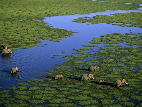 Pays Etranger - L'Afrique - ses magnifiques paysages - 1