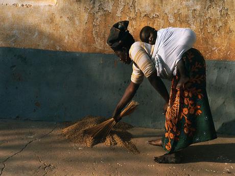 Pays Etranger - L'Afrique - ses magnifiques paysages - 1