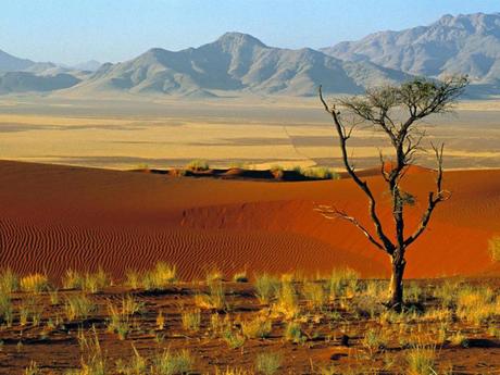 Pays Etranger - L'Afrique - ses magnifiques paysages - 1