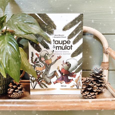 Album jeunesse : Taupe & Mulot - tome 4