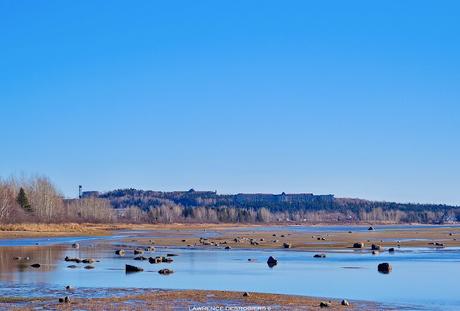 La cathédrale, le CEGEP et le Château Baie-Comeau dans la brume et au soleil à marée basse…