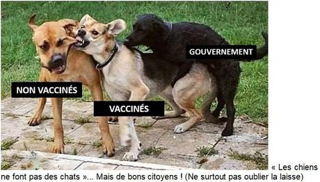 Mes flashs Actu : Du 21 au 27 novembre 2021 Mes flashs Actu : Du 21 au 27 novembre 2021