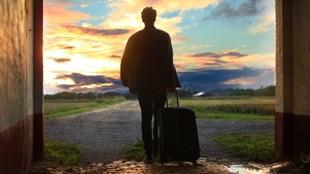 Ruminant, Marmonneux & l'Impulsive Insatisfaite