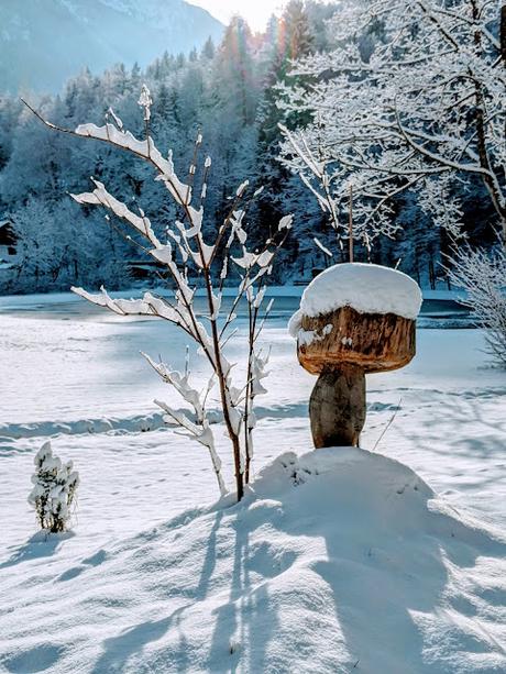 Mittenwald — 25 Bilder / 25 photos Kurpark am Burgberg — 28.11.2021