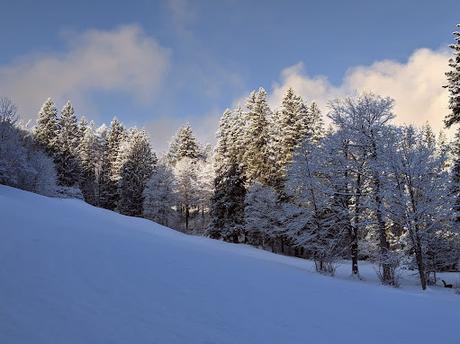 Mittenwald — 25 Bilder / 25 photos Kurpark am Burgberg — 28.11.2021