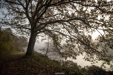 Un matin d’automne au domaine de Kerguéhennec