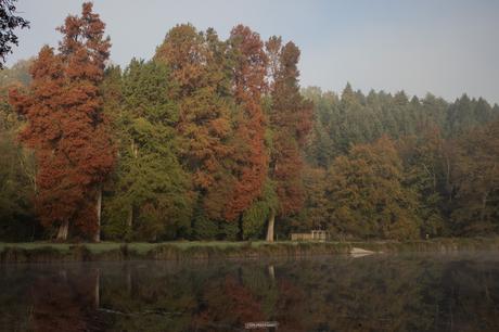 Un matin d’automne au domaine de Kerguéhennec