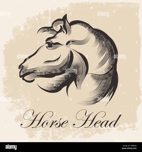 Esquisse de tête de cheval en dessin encre rétro style. Vector Illustration  Image Vectorielle Stock - Alamy